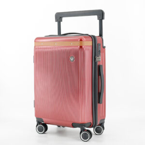 X089 Luggage 20 Inch Suitcase Carry on Luggage with Spinner Wheels Wide Handle Rolling Travel Suitcases ABS+PC Hardshell