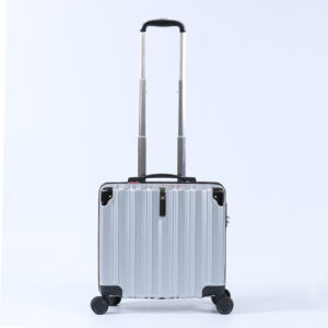 C13 Waterproof Lightweight Luggage for Travel Anti Crack Unisex Luggage 16 Inch ABS+PC Boarding Luggage 4 Wheels