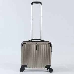C14 Luggage Factory Custom 16-Inch Simple Design Hardside ABS Trolley Case Business Luggage Bags